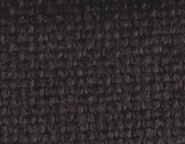 Bahía Negro